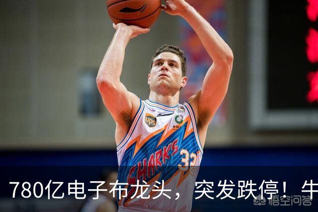 780亿电子布龙头，突发跌停！牛散葛卫东定增浮亏超6000万元，公司回应！